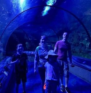 Meet your Posher, Robin